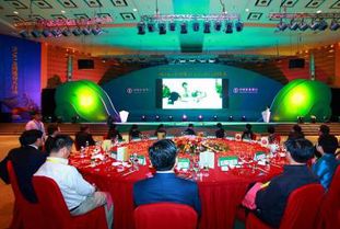 广西专业婚庆策划主持哪家好？非凡婚庆活动策划全方位解析